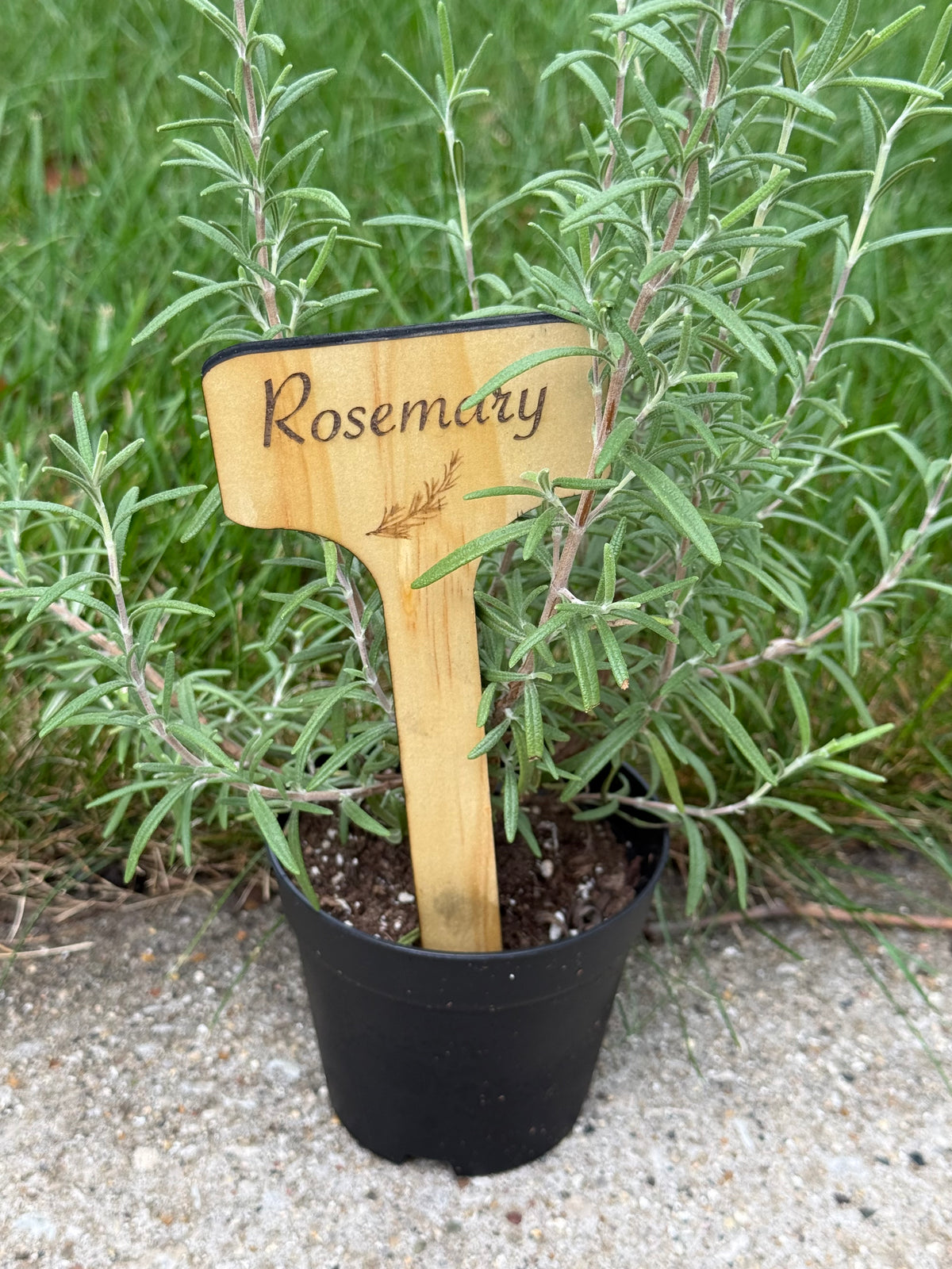 Herb Mini Signs